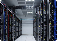 ����(w��)���