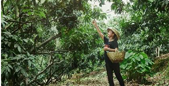 �����O(sh��)Ӌ(j��)�cֱ���\(y��n)�I-�V�����A��(li��n)�W(w��ng)�Ƽ��W(xu��)У